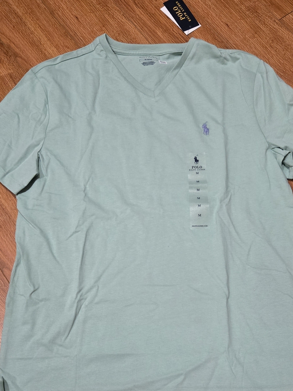 Polo by Ralph Lauren Men’s V-Neck T-Shirt in Seafoam